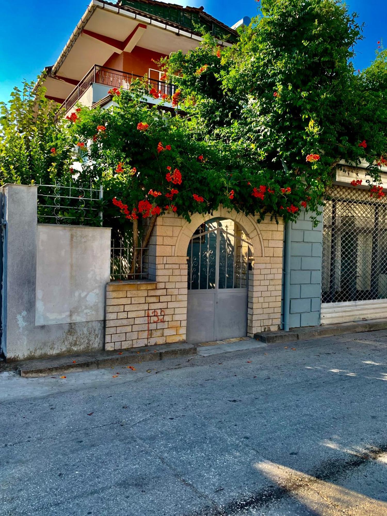 Guesthouse Katerina Berat Exteriör bild