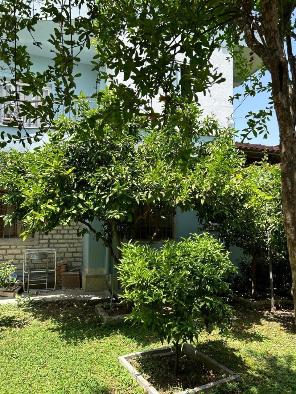 Guesthouse Katerina Berat Exteriör bild